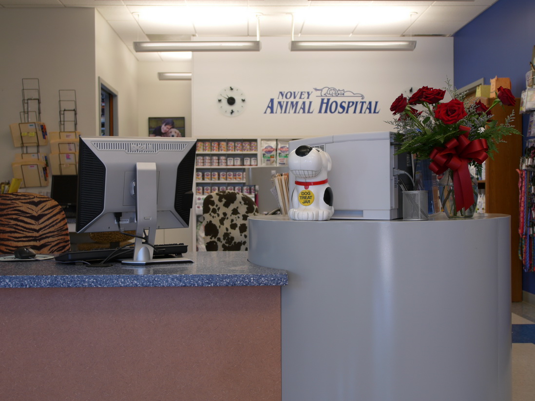 Novey Hospital Front Counter